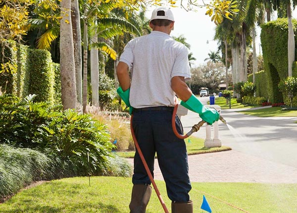About Dover KS Pest Control